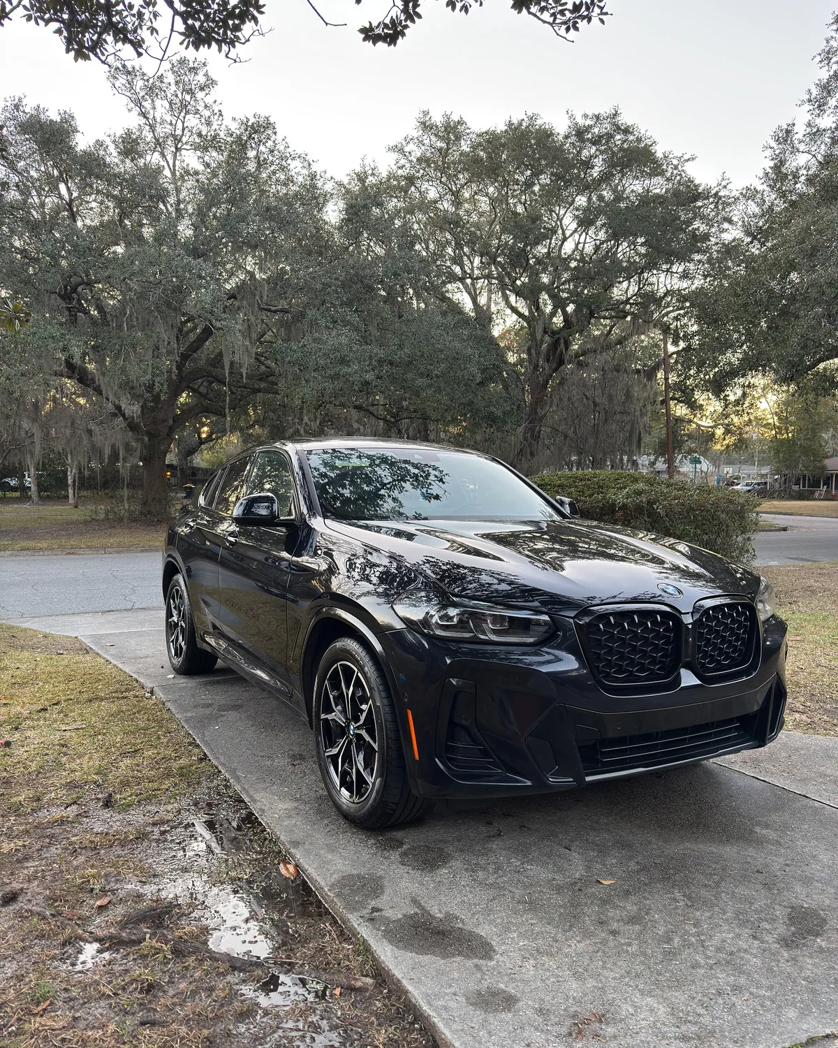 Black BMW X4 parked under live oak trees