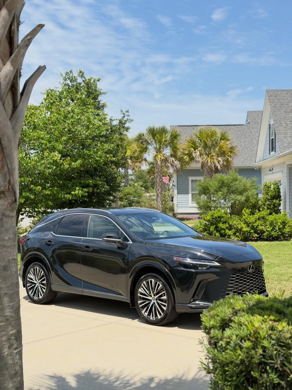 Black Lexus RX in a driveway